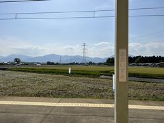 大泉駅では、ネモフィラの花畑がありました