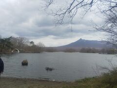 大沼と駒ヶ岳です。
湖面にはまだ冬の気配が
色濃く残っていました。