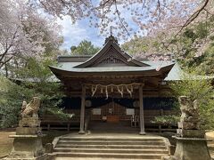 天石門別八倉比賣神社の拝殿で、ご挨拶。
何だかすごくあたたかな雰囲気だった。
こちらの拝殿前の狛犬さん達もあたたかく見守ってくれているような。