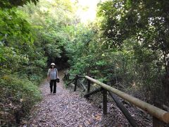 遅めの昼（浜松餃子）をとって、舘山寺の小山？を少し山歩き。