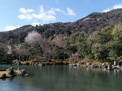 天龍寺
庭園に曹源池