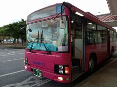 宮古空港17:45着。ピンクのバスは宮古協栄バスです。