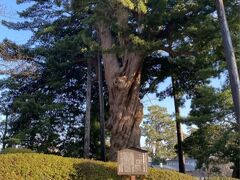 小田原城址公園
