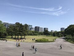 江戸城跡から見た芝生。