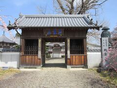 10:45　5番札所 地蔵寺（徳島県板野郡板野町羅漢）　仁王門

真言宗御室派、無尽山 荘厳院。