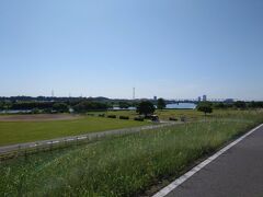 翌日、いいお天気なので近所を散歩。
すぐ近くに江戸川があります。