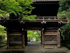 MY遊バスを竹林寺前でおりました。

半分の乗客は、今、大人気の『牧野植物園』前で下車しました。

素晴らしい山寺といった佇まいの竹林寺さんに入って行きます。