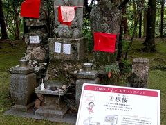 竹林寺さんの中は、それこそ新緑がイキイキとしていて凛とした空気感の中に生命の息吹が感じました。

境内には、観光客にもわかりやすいように『竹林寺のおまいりポイント』の案内もありました。