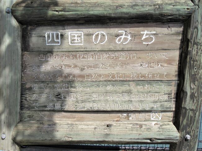 今回最多の9寺を参拝(後編)7番十楽寺から11番藤井寺・丸山古墳 今回最多の9寺を参拝(後編)7番十楽寺から11番藤井寺・丸山古墳