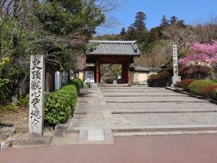 しばらくすると住宅地を走るようになり、バスを観心寺前で降りると、目的地はすぐ前に。