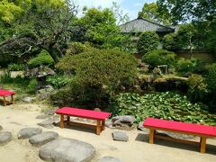 大原邸の庭園です
蓮の花が咲いていました