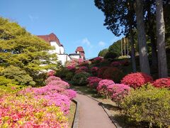 　5/4、9:00オープンの芦ノ湖・山のホテル「つつじしゃくなげフェア」に20分前位から並びます。この時期だけお庭見学が有料になっています。