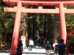 　箱根神社、実は初めてです。