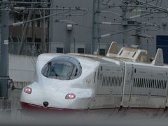 西九州新幹線かもめ

実物はメカウサギのようだ。