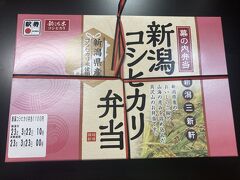 夜はおとなしく駅弁をホテルで食べよう。