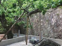 地福寺 島崎藤村の墓