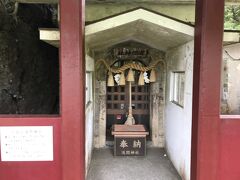 大室山浅間神社。
パワースポット。大室山火口の中腹にある小さな神社。安産と縁結びの神様で祭神はイワナガヒメ。
イワナガヒメは、富士山頂の浅間大社の祭神コノハナサクヤヒメの姉にあたる。