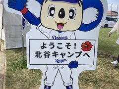 3日目この日はヒルトン北谷からすぐ近く中日のキャンプ地北谷球場
ちょうどこの日中日ー日本ハムの練習試合がここであり、新庄監督見たさに来てみた