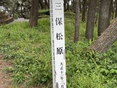 静岡を後にして次は清水に行きます。ここはお土産がある三保の松原まで行きました。駅からバスですが、バスの本数が少なく、1本乗り遅れると帰れなくなります