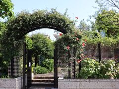 ねむの木の庭は、上皇后陛下のご実家・正田邸の跡地を整備し、2004年に開園した品川区立の公園です。公園名は美智子さまが高校生時代に作られた詩「ねむの木の子守歌」に由来します。
