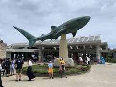 美ら海水族館の前にある、大きなジンベエザメの像の前でパチリ。
