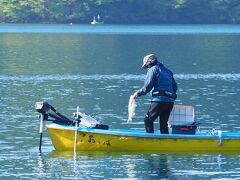 湖に視線を落とすと・・・

でかいの、釣れましたね。
芦ノ湖では、レインボートラウト、ブラウントラウト、岩魚、ワカサギ、ブラックバスなどが釣れる。

遊漁券はキャンプ場でも購入可。

本来ならば湖上で太公望となっているはずだったけれど、釣り師を眺めているのはタックル(釣り竿)等々一切合切持ってくるのを忘れたからだ。

地産地消という名のもとの食料現地調達計画は端からずっこけていたわけで。