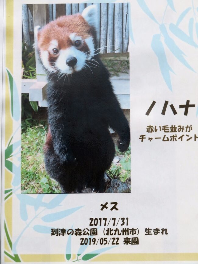 ローカルクチビルケモノ