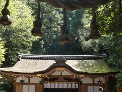 病気平癒の神様とされる狭井神社で、健康な日々を送れるよう、そして家族の病気平癒をお願いしました。