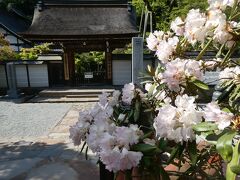 太鼓橋を渡った先が室生寺の境内。石楠花の向こうに「女人高野室生寺」の石碑が見えます。