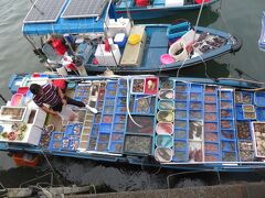 西貢埠頭の近くでは、魚介類をどっさり積んだ船を岸壁に着け、その場で岸壁の上のお客とやりとりし、売買をしている。