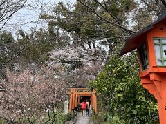 平野神社の桜は　品種によっては咲いている木もありました。