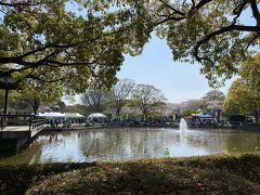 平塚市総合公園内の大池ですが、桜がちらほら