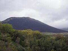 野焼きされて真っ黒になった「扇山」の近くも通過しました。野焼きは冬に枯れた草を焼き払い、春に立派な若芽を得て良質の草を育て、草原の維持と再生をさせるのが目的です。同時に枯れ草に付いたダニなどの害虫をも退治します。1カ月前に熊本に行った際も野焼きの終わった草千里を見ましたが、ここでも終わったばかりでした。