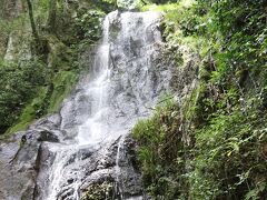 ボート乗り場から上がる途中だったかな
滾々と湧水が滴り落ちています。
