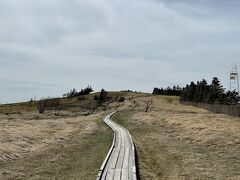 かなり年季の入った木道。右手には高原美術館。
１０分もあれば山頂に着きます。
山頂からは車山同様に蓼科山、八ヶ岳から富士山、南、中央、北アルプス、浅間山方面まで360度の絶景を堪能出来ます。

美ヶ原はロングトレイルも可能です。