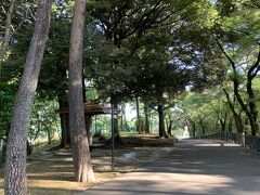 八幡山公園。様々な散歩コースがあり市民の憩いの場所になっています。