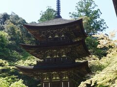 三重塔。こちらは鎌倉後期の建物。
中には極彩色の絵がかかれているそうですが、しばらくは公開中止とのこと。