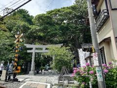 ひと通り歩いたけどまだ時間があるので、すぐ近くの御霊神社に行ってみよう。
江ノ電の線路のすぐそばに鳥居があります。
