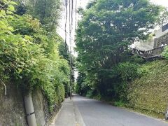 道路まで降りてきて振り向くと、極楽寺坂切通し。

南は海、三方は山に囲まれた鎌倉は天然の要塞みたいなもの。
物資運搬のために山を切り崩して「切り通し」が作られました。
この極楽寺坂切通しは、切り通しの中でも重要とされる鎌倉七口のうちのひとつ。
1333年の新田義貞の鎌倉攻めの激戦地だったそう。
画像の右側の高い所に見えている柵みたいなのは成就院の参道に続く階段。
当時この切り通しは成就院の高さにあり、後に掘り下げられて現在の車道の位置になったようです。
