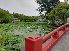 せっかくだから鶴岡八幡宮も行こうと、段葛を歩いて行ったけど、