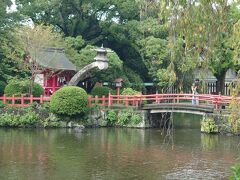 まずは三嶋大社へ向かいました。
時間や時期によっては周辺の有名な鰻屋さんは混雑するため、先に状況を確認しておいた方が良いかなと思います。

三嶋大社の池には厳島神社と蘭溪燈籠があります。