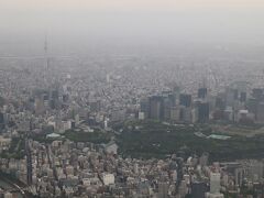 スカイツリーの手前は皇居の上空でしょうか。