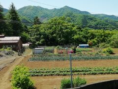 久しぶりに中央東線・特急あずさ号に乗車しました。
沿線の風景を何枚かどうぞ！