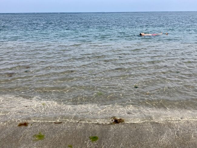 意外にも水がきれいでプカプカ浮かぶのに丁度いいのですが、海藻が多いです。