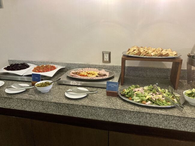 アルコールはコロナビールと赤/白ワイン。他にもリクエストすれば時間はかかるけど１階のレストランから持ってきてくれるものもあります。<br /><br />ハムやチーズ、サラダ、ホットサンドイッチなのどのおつまみ。