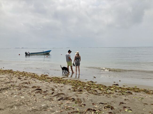 ペット大国のメキシコ。<br />犬を連れてビーチに来ている人が非常に多かったです。