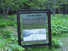 林を抜けると幌加駅の変遷を伝える案内板がありました。
昭和17年に開業した駅は昭和37年頃をピークに衰退し、昭和57年にその役目を終えたことが書かれています。