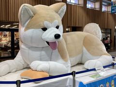 秋田駅に着くと大きな秋田犬
