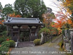 花山院山門

十二妃の墓の前の道を北に向かい、県道49号を越えて坂を上った先にある番外札所です。
山門の先にも未だ階段があります。


花山院：https://www.kazanin.jp