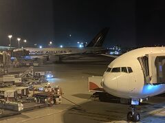 シンガポール チャンギ国際空港 (SIN)